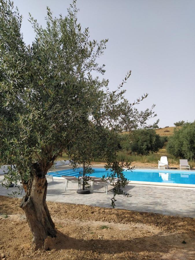 Quinta Da Fortaleza Elvas Exteriör bild